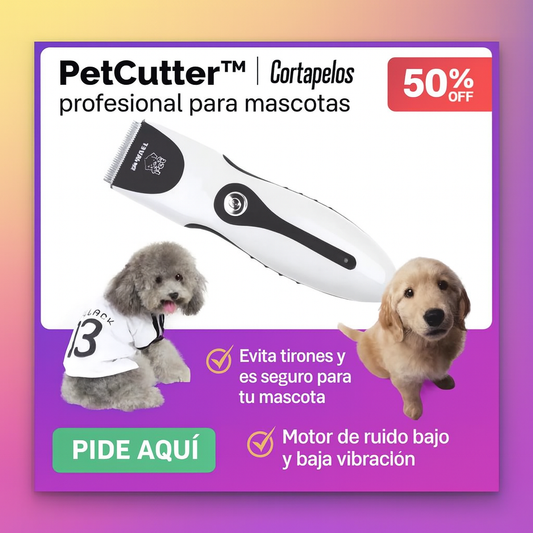 Cortapelos profesional para mascotas | Perros y gatos